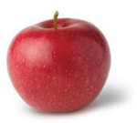THE APPLES OF ROBLOX O_O
