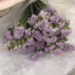 :: lush