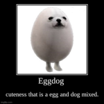 Official egg dog gang