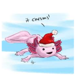 AxolotlBois