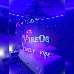 VIBE og VC