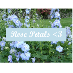 XxRose PetalsxX