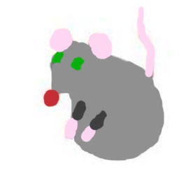 Fighting rats