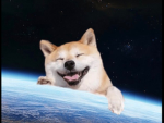 Doge world 2