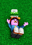 casey donates robux