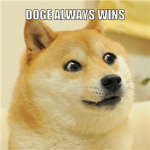 DOGE loverz