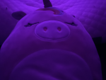 No noobs or bacons allowed and plz don’t expose me