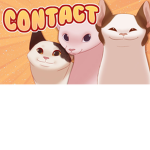 Grupo de gatitos y humanos jugamos juegos epicos