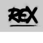 Rex’s chickens