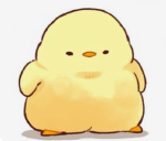 Da cool Duck Gang