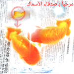 FERALFISH