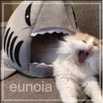 !eunoia