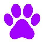 E-PUP