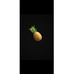 THE PINAPPLE BESTIES