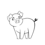 Piggies Club