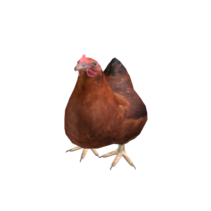 chicken