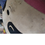 Teddy inc[who rook the name]