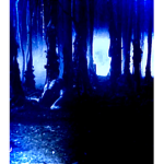 The_upside-down