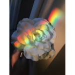 SunshineFlower