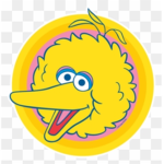 Team Bigbird
