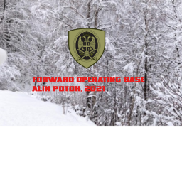 [FOB] Alin Potok