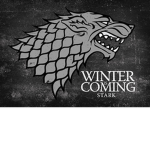 <>House stark<>