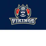 NERVOUS VIKINGS