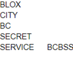 BLOX CITY BC [SECRET SERVICE]