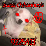 Vicious Chihuahua's
