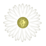 Deysi