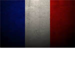 Les Assassins de la France