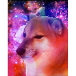 freddyfan doge squad