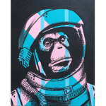 Innerspace Monkeys