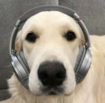 xXPęåćęXx