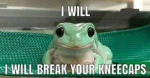 Kermit Tea/Boba