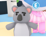 kevin's and jenna's clothing store