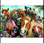 Die Pony Gang.