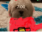 Rheheehehehehe