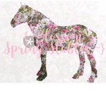 {~ Blossom Spring Stables ~}