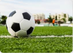 Soccer fans 7r8374
