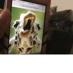 CRAZY GIRAFFE PEOPLE IN HERE