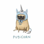 Ｐｕｇｉｃｏｒｎ ®