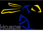 Tampa Wasps