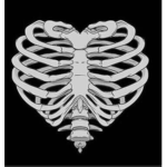 SKULLED ENT