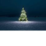 the chrismas group