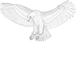 The Eagle Posse