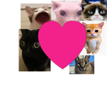 All The Meme Cats