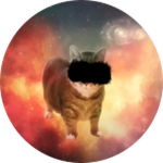 Secret Meow
