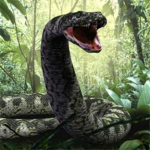 Snakeo7 Fans