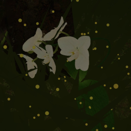 ???